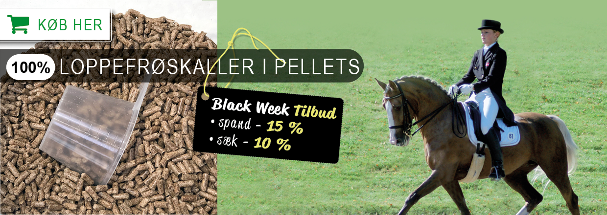 God til kræsne heste