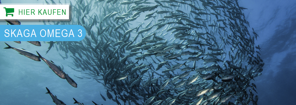 Fischöl für Pferde, Hunde & Katzen