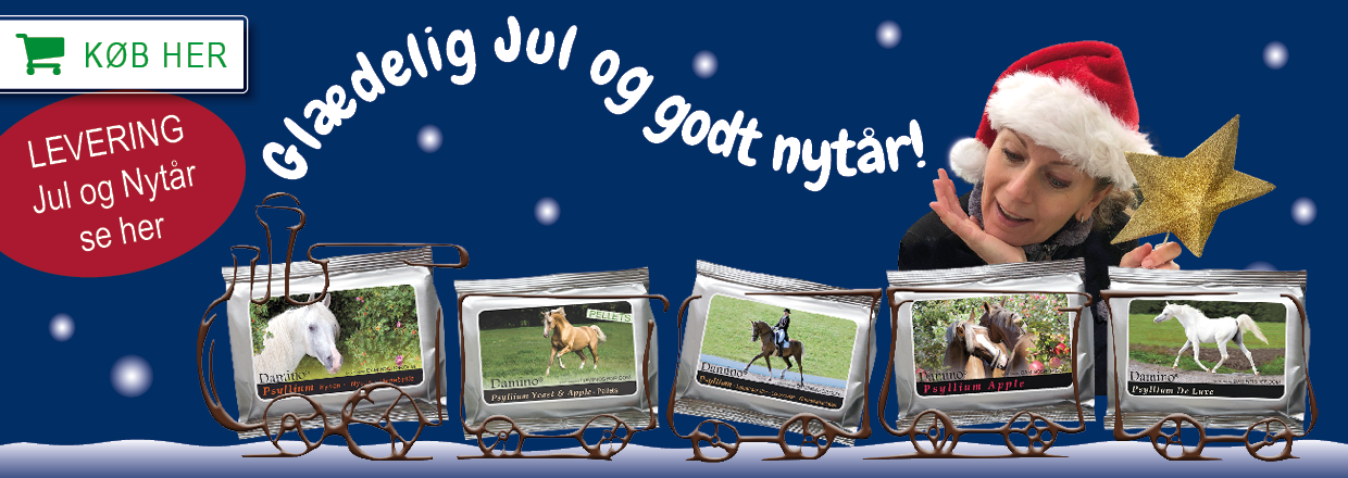 Klik og l&aelig;s mere om levering