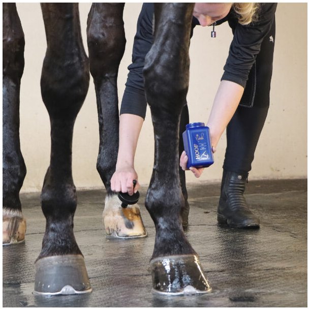 Nathalie Hoof Oil 450 ml