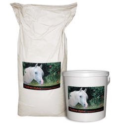 Damino Psyllium Hyben