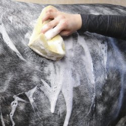 Nathalie All Black Shampoo<br>500 ml