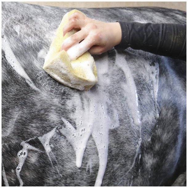 Nathalie All Black Shampoo<br>500 ml