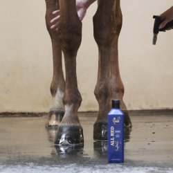 Nathalie All Red Shampoo<br>500 ml