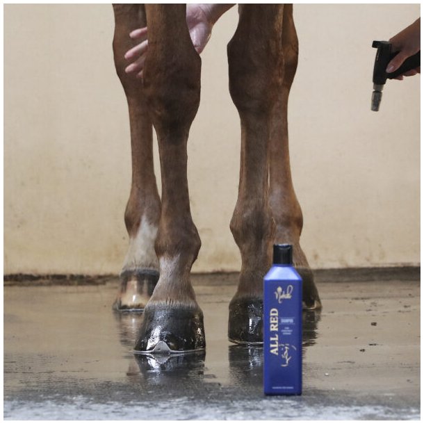 Nathalie All Red Shampoo<br>500 ml