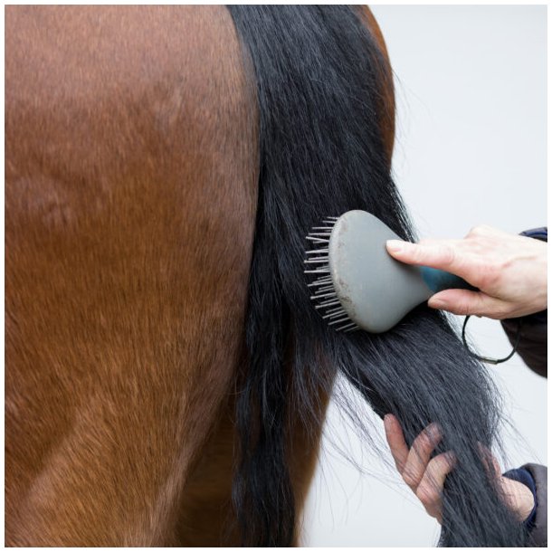 Nathalie Easy Mane &amp; Tail Spray