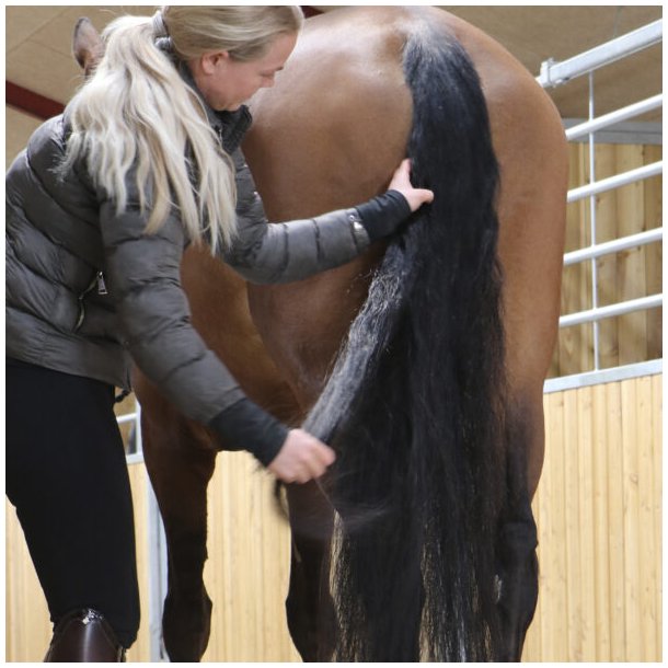 Nathalie Easy Mane &amp; Tail Gel