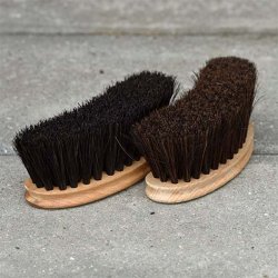 Blue Hors Brush Nature