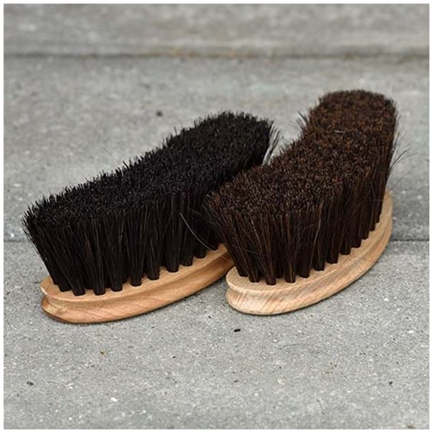 Blue Hors Brush Nature