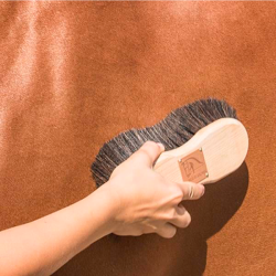 Blue Hors Soft Brush Nature