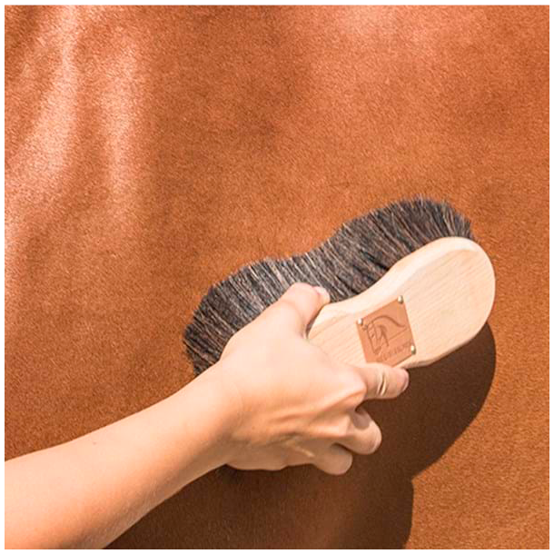 Blue Hors Soft Brush Nature