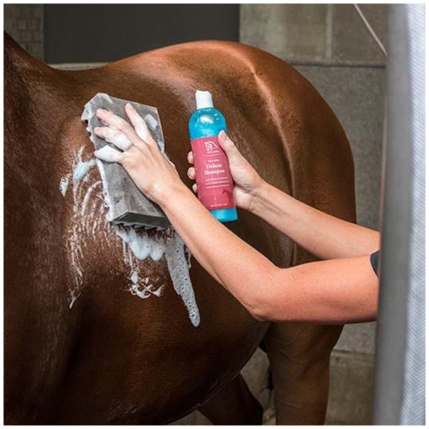 Blue Hors Magic Sponge