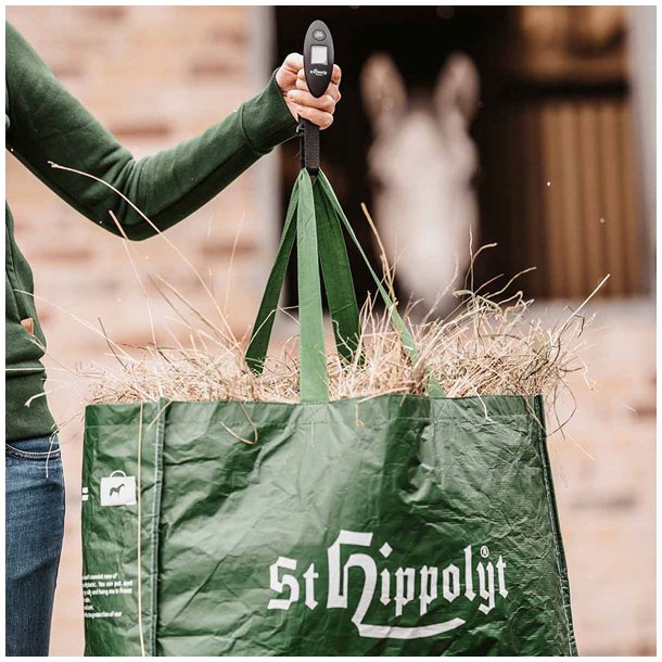 St. Hippolyt H�v�gt