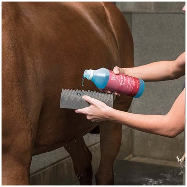 Blue Hors Magic Sponge