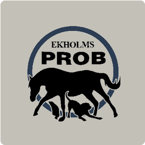 Ekholms Prob
