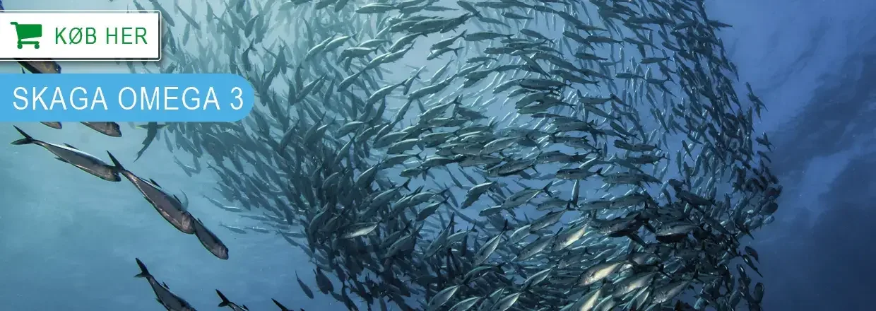 Fiskeolie til hest, hund & kat