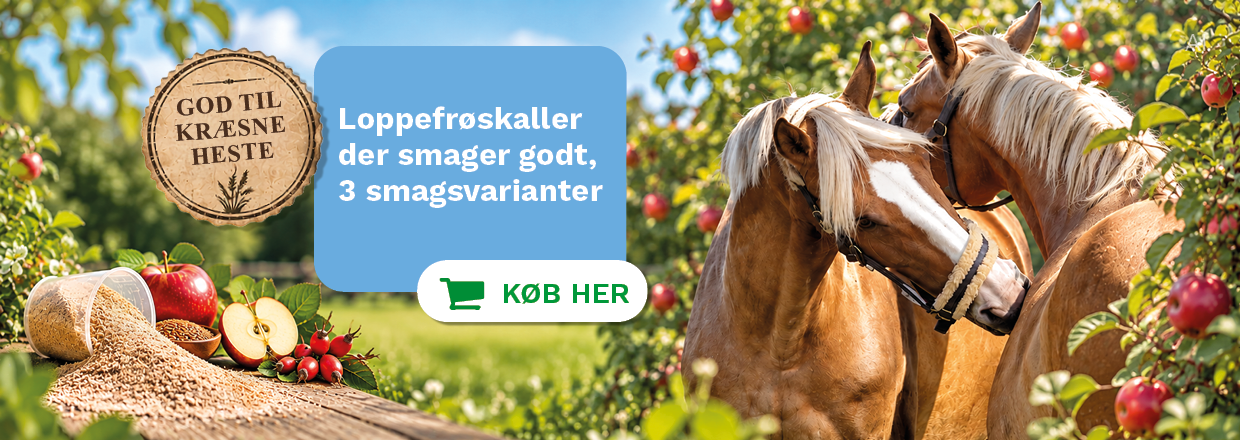 hyben, &aelig;ble og bukkehornsfr&oslash;