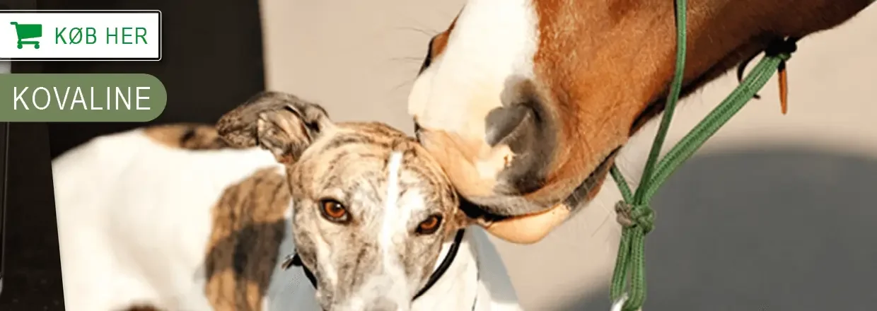 Store rabatter på KovaLine